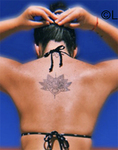 voluptuous Argentina girl LeLe from Rosario AR479